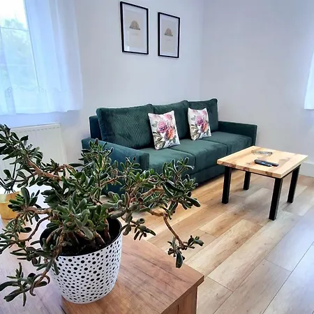 Apartament Dzika Roza Kowary Exterior photo