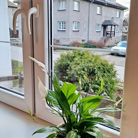 Apartament Dzika Roza Kowary Exterior photo