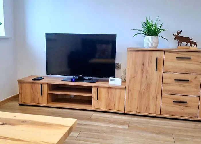 Apartament Dzika Roza