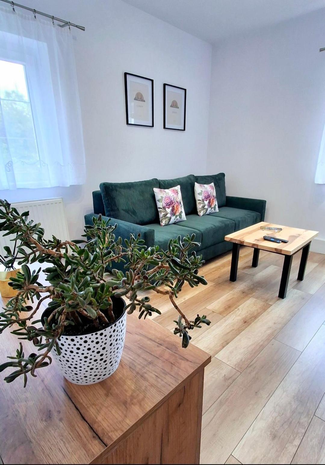 Apartment Dzika Roza *