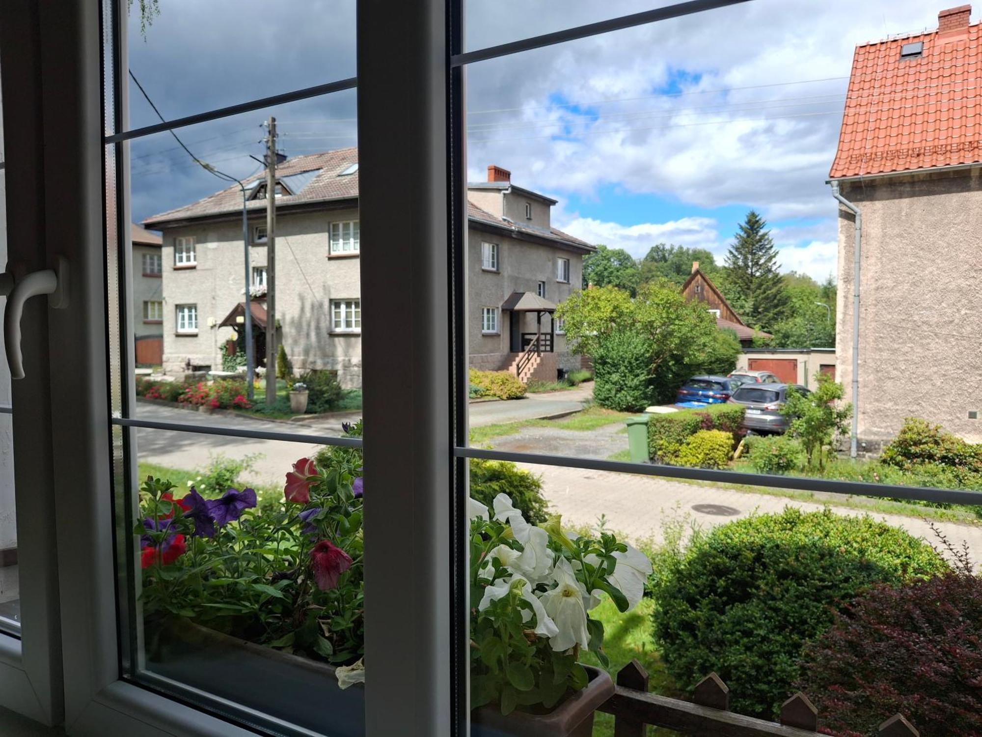 Apartment Dzika Roza *