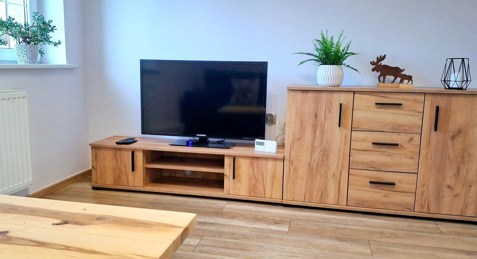 Dzika Roza Apartment