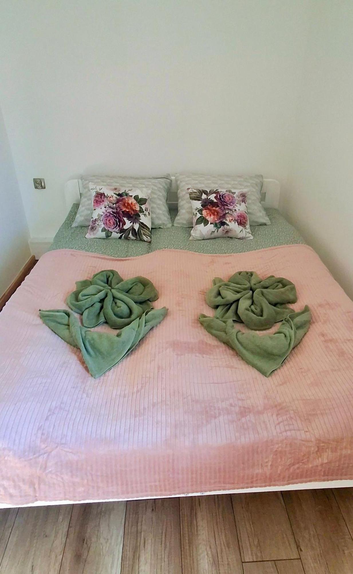 Dzika Roza Apartment *