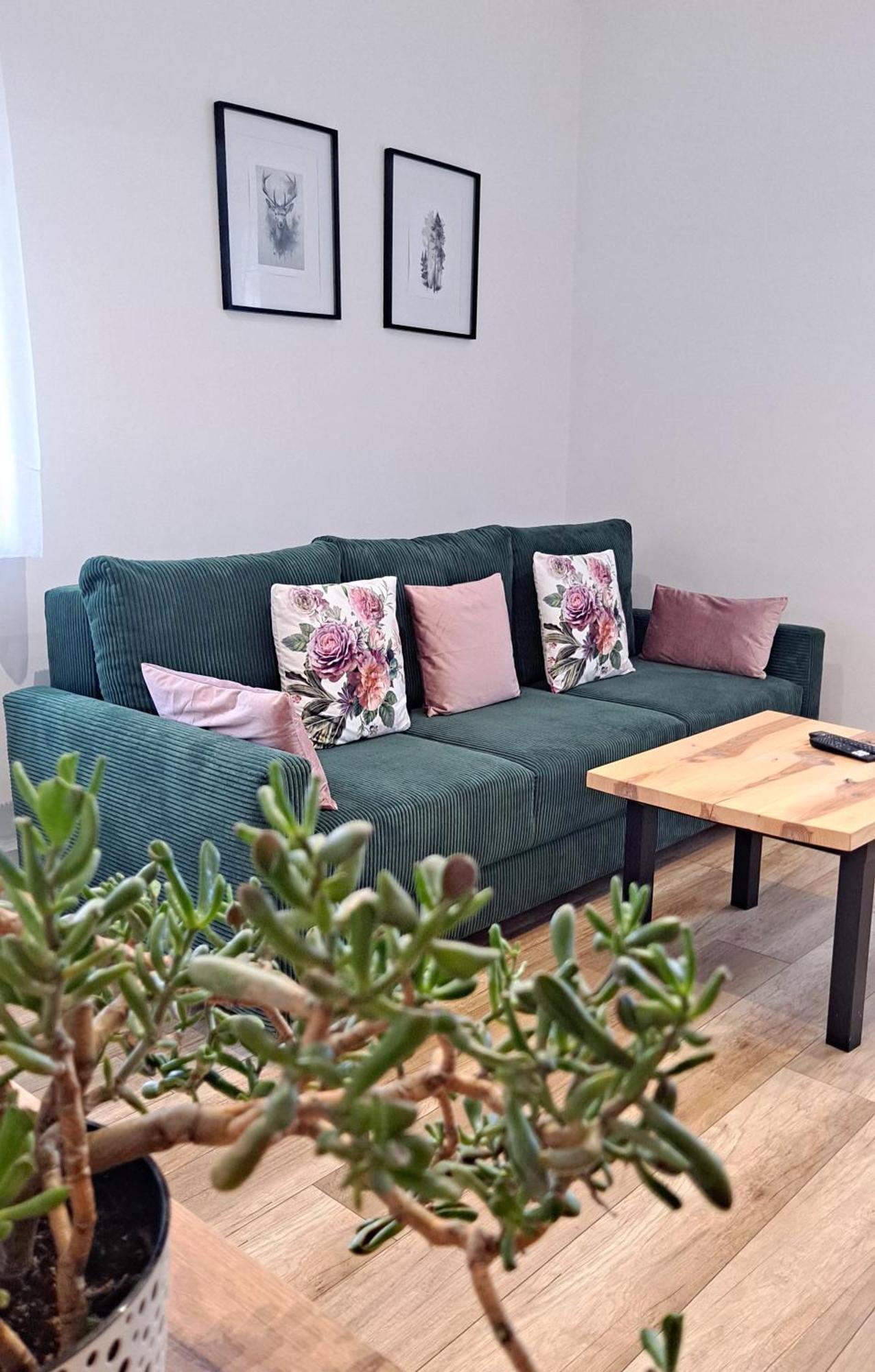 Apartment Dzika Roza