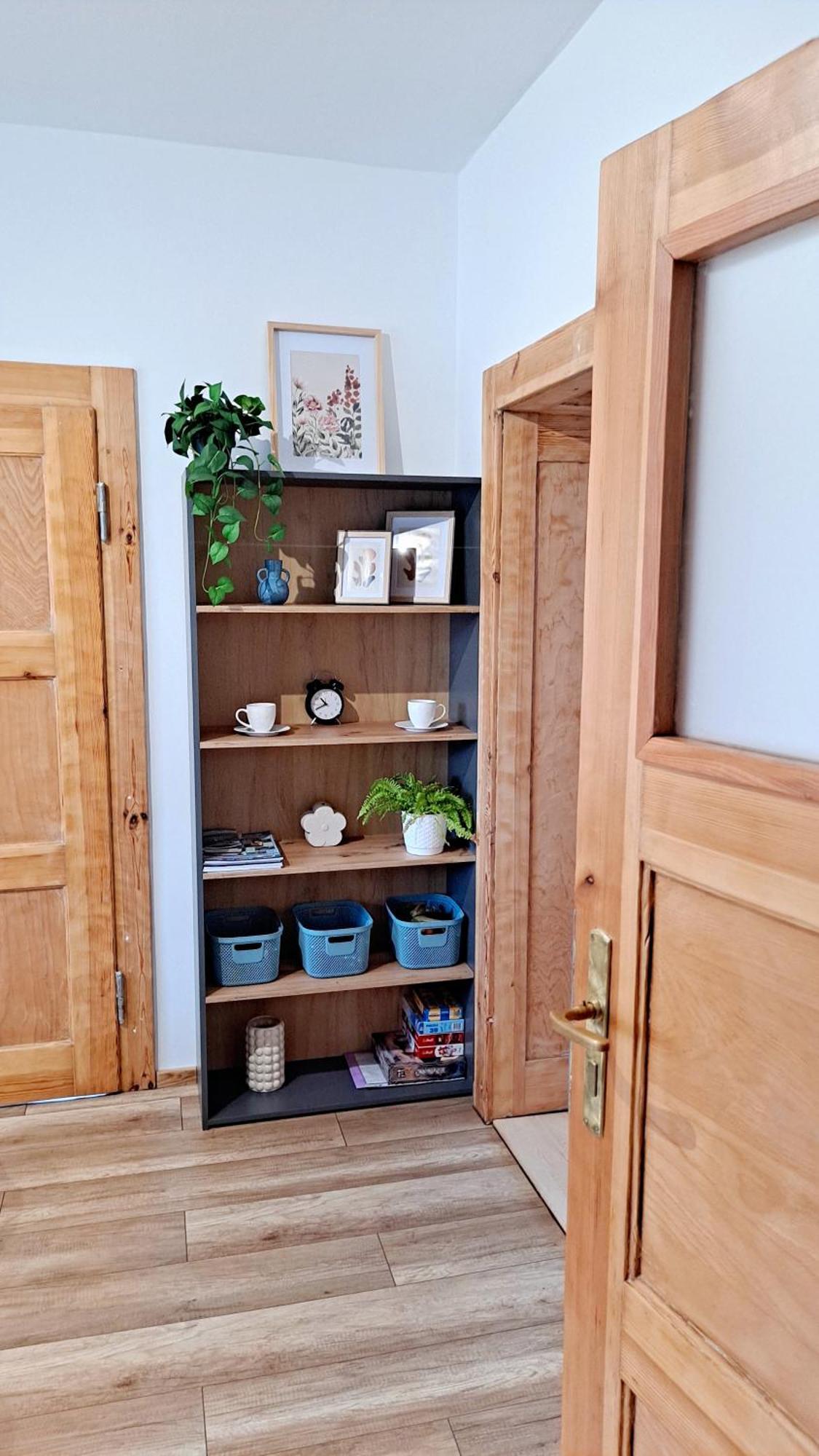 Dzika Roza Apartment